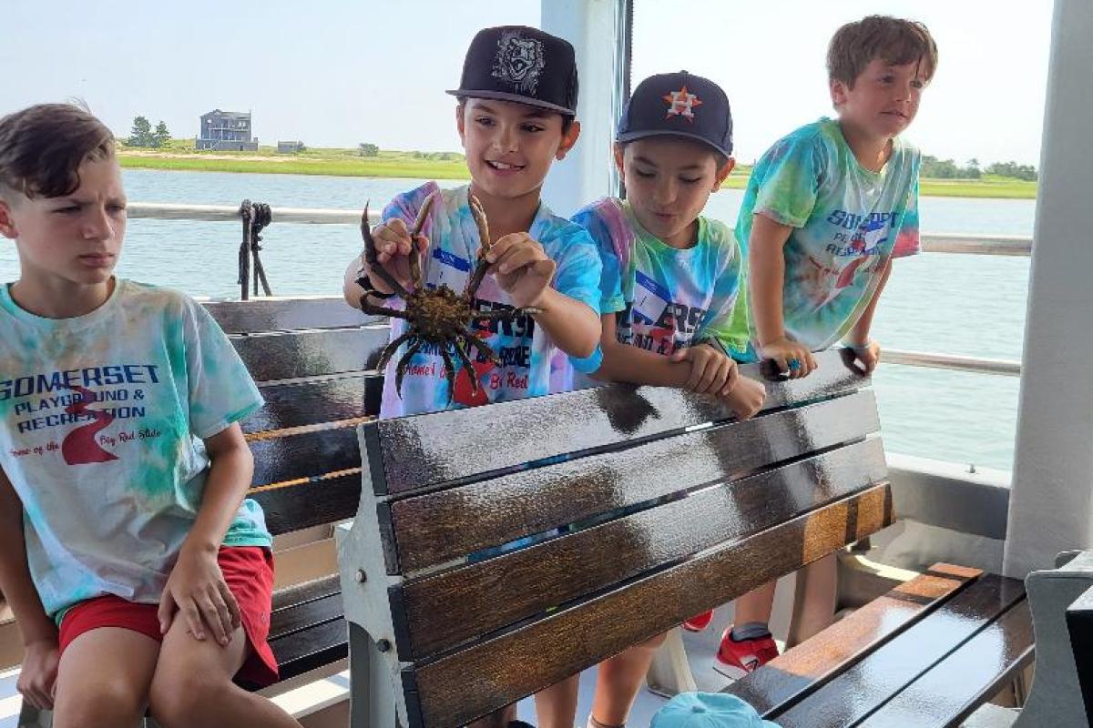 Plymouth Cruise Field Trip 2